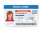 Flat woman driver license plastic card template, id card vector illustration