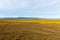 Almost Flat Yellow Landscape of Tankwa Karoo National Park