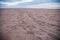 Flatback Sea Turtle Tracks To the Sea