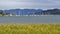 Flathead Lake Cattails Wind Whipping Marina Sailboats Montana