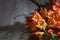 Flatlay background for school. red orange gladioli fire color on a wooden background