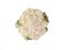 Flatlay cauliflowers isolated