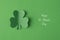 Flatlay close up view photo of clover leaf isolated monochrome vibrant color backdrop with text