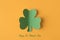 Flatlay close up view photo of green clover isolated bright yellow backdrop with text