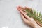 Flatlay. Woman putting nutritious cream on her hands on white background among jar of cosmetic cream, leaf palm branch