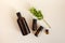 flatlets from brown bottles for care cosmetics on a beige background with a green sprig. natural self-care concept. Organic,