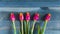 Flatley flower arrangement of red and yellow tulips with green leaves on a blue wooden background