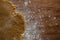 Flattened dough on a wooden table