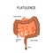 Flatulence. Small and Large intestine with intestinal gas. human