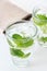 Flavor water with mint