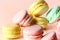 Flavors of Paradise: Exquisite Macarons for the Discerning Palat