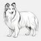 Flawless Line Work: Shetland Sheepdog With Bobbed Tail And Distinct Markings