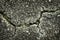 Flaws and defects give to weakness shown by cracked pavement. Imperfections and rough asphalt. rock