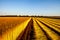 Flax fields in Normandy, France