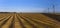 Flax fields in Normandy, France