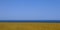 Flax fields and ocean in Normandy, France