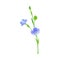 Flax or Linseed as Cultivated Flowering Plant Specie with Blue Flowers on Stem Vector Illustration