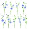 Flax or Linseed as Cultivated Flowering Plant Specie with Pale Blue Flowers on Stem Vector Set