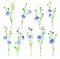 Flax or Linseed as Cultivated Flowering Plant Specie with Pale Blue Flowers on Stem Vector Set