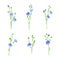 Flax or Linseed as Cultivated Flowering Plant Species with Pale Blue Flowers on Stem Vector Set