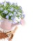 Flax seeds and a bouquet of flax flowers in a decorative watering can isolated on a white . Free space for text