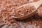 Flax seeds close up on a wooden spoon on a table