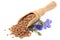 flax seeds in wooden spoon with flower isolated on white background. flaxseed or linseed. Cereals