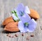 Flaxseed flowers and almonds