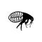 Flea icon insect logo