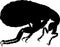 Flea insect silhouette