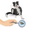 Flea poster with scratching dog and insect vector illustration