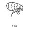 Flea vector icon.Line vector icon isolated on white background flea.