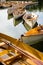 A fleet of rental rowboats bound to one another on a lake