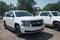 A fleet of White Chevy Tahoe equipped with Feniex Emergency Products