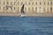 A fleeting tern above the waters of the river