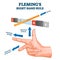 Fleming`s right hand rule, vector illustration example diagram