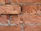 Flemish bond brick wall