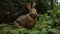 Flemish Giant Rabbit\\\'s Munch in a Verdant Garden