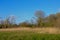 Flemish marshland landscape in the `Oude Kale` nature reserve