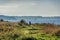 Flensborg fjord seen from Rendbjerg,  Denmark