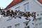 Flensburg, Germany - June 09, 2019: Shoes hanging between old houses in the german northernmost town called Flensburg