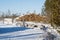 Fleshly cut snow covered logs sitting beside a road ready to be trucked to a mill