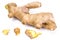 Fleshy fragrant ginger root