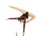 Flexible equilibrist performs exercises on acrobatic walking sticks