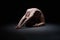 Flexible female gymnast exercising in dark studio