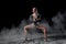 Flexible woman dancing with flour on black background in studio, moving with legs apart