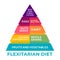 Flexitarian Diet infographics, pyramid. Reduce animal products consumption. Eat less meat for wellbeing animal, environment