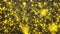 Flickering abstract Particles motion. Loopable seamless golden background.