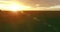 Flight above rural summer landscape with endless yellow field at sunny summer evening. Agricultural farmland at autumn