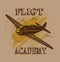 Flight academy old plane design brown